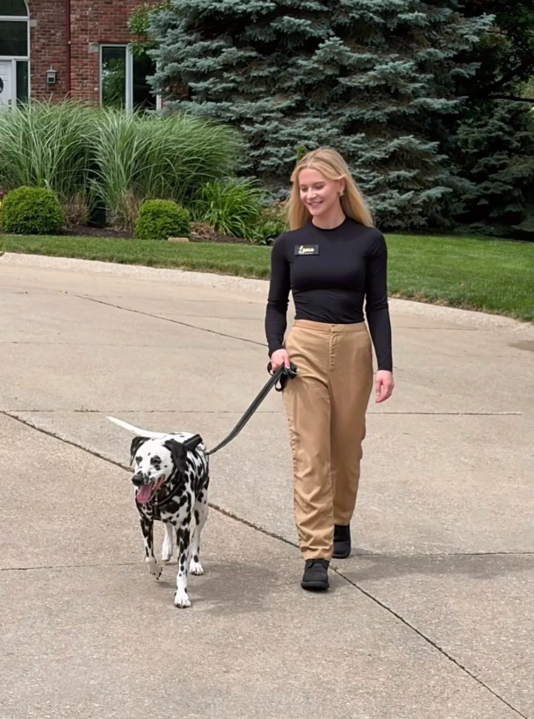 Lexie walking a Dalmatian on leash — trained dog handling and dog walking in Denver
